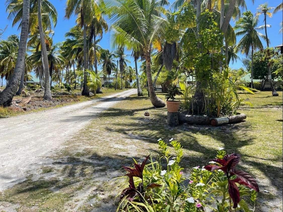 אווטורו Rangiroa Guest Paradise מראה חיצוני תמונה